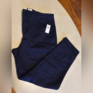 GAP women Navy Pants